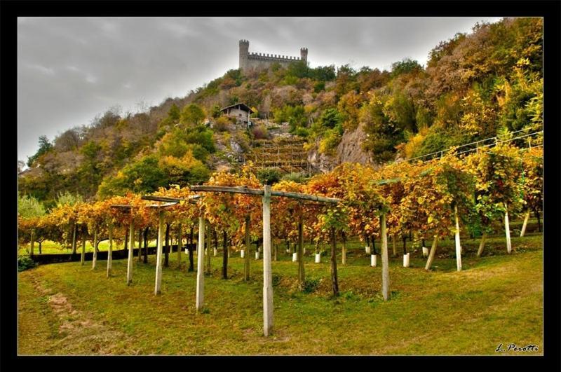 مبيت وإفطار Borgofranco d'Ivrea Comunita' Ospitali Bidrino المظهر الخارجي الصورة